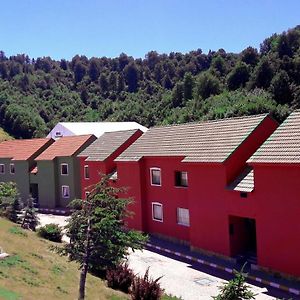 Apartment mit 2 Schlafzimmern